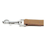 Dog Lead Gloria Oasis 2.1 x 100 cm Brown