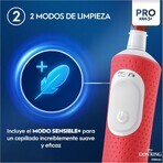 Elektrische tandenborstel Oral-B Rey Leon Rood Multicolour