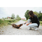 Jouet pour chien Hunter NEBRASKA Bleu Mouton