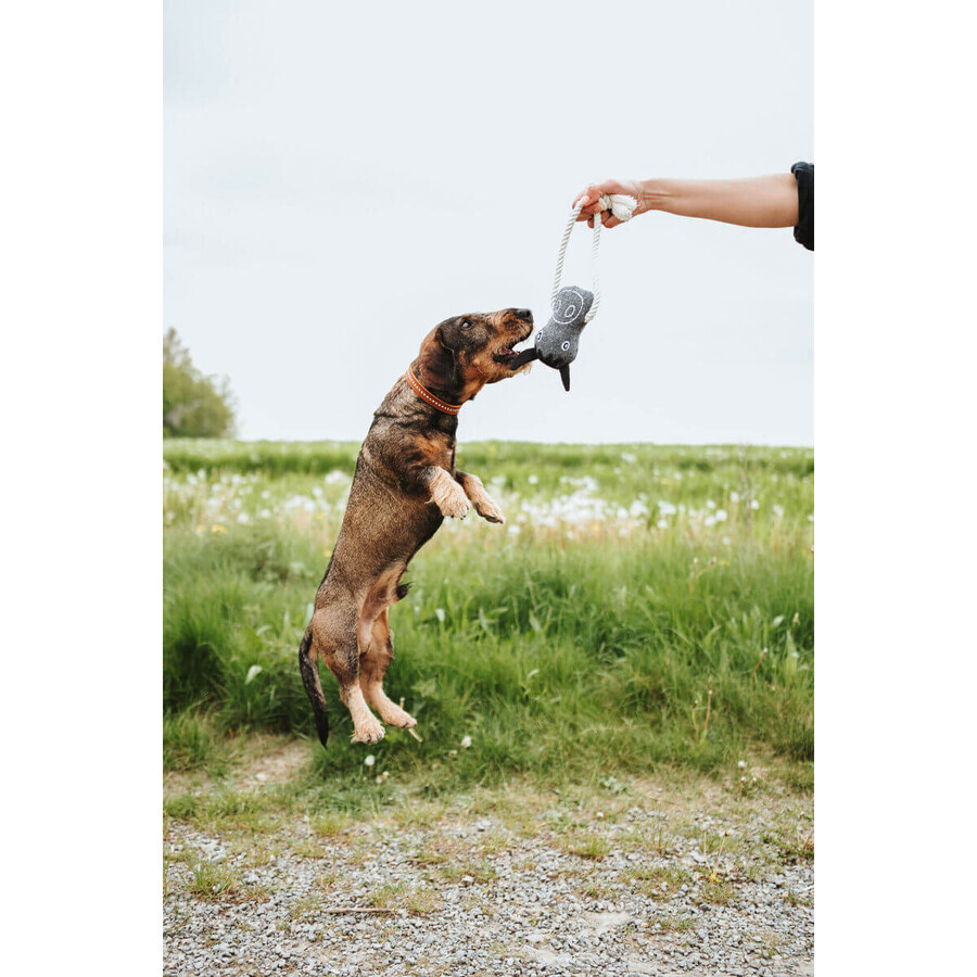 Jouet pour chien Hunter NEBRASKA Bleu Mouton