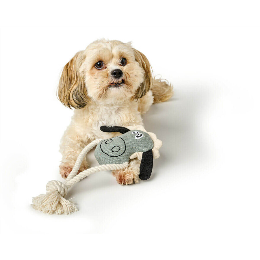 Jouet pour chien Hunter NEBRASKA Bleu Mouton