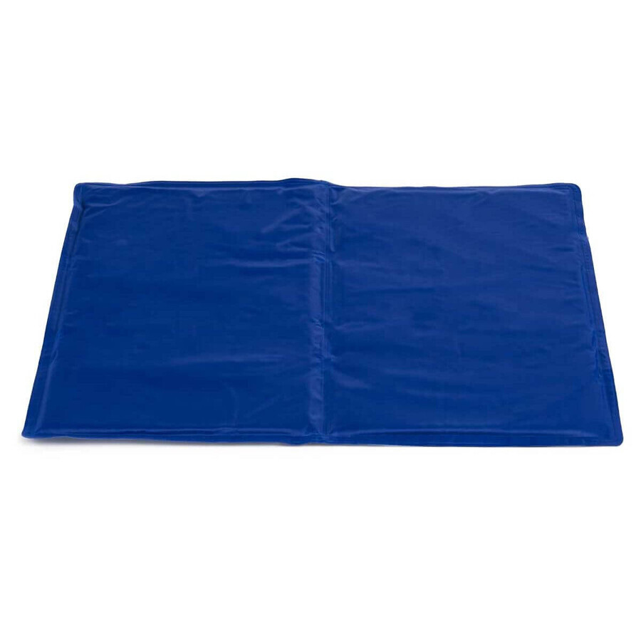Tapis pour chien Rafraîchissant Bleu Mousse Gel 39,5 x 1 x 50 cm (12 Unités) Tapis pour chien Rafraîchissant Bleu Mousse Gel 39,5 x 1 x 50 cm (12 Unités)