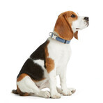 Hundehalsband Hunter VARIO BASIC Blau XL 45-65 cm