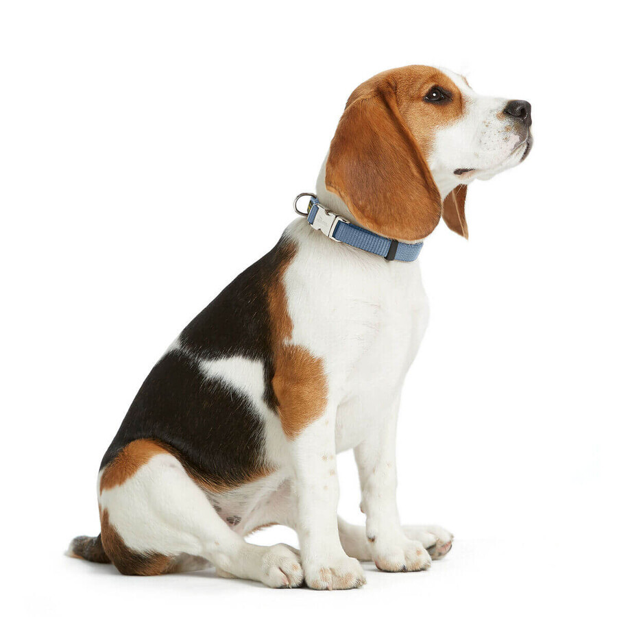 Hundehalsband Hunter VARIO BASIC Blau XL 45-65 cm