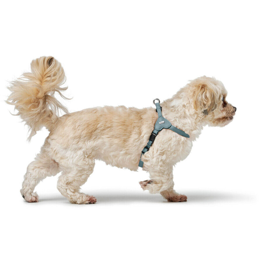 Hundegeschirr Hunter SOHO MINI Blau XS