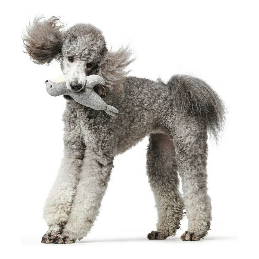 Hundespielzeug Hunter Skagen Grau Bison Hundespielzeug Hunter Skagen Grau Bison