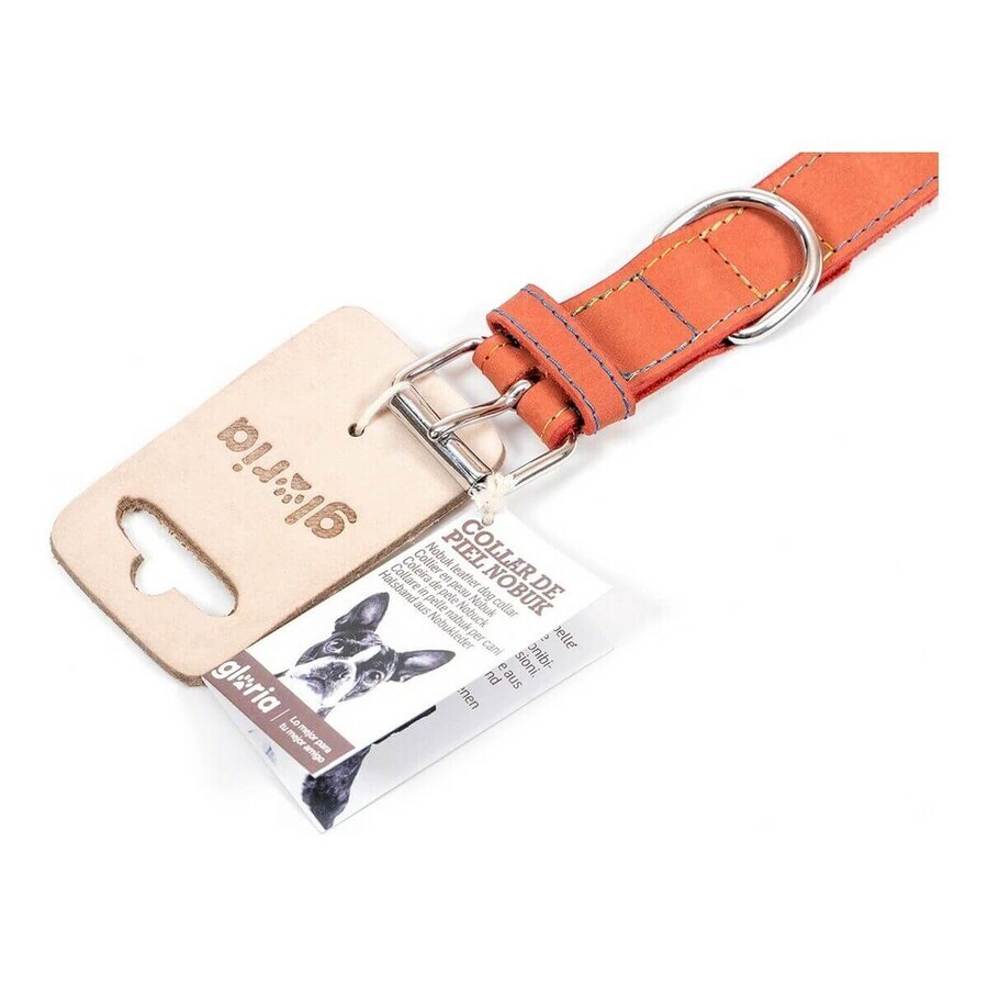 Hundehalsband Gloria Oasis Rot 55 cm (55 x 2,5 cm) Hundehalsband Gloria Oasis Rot 55 cm (55 x 2,5 cm)