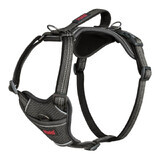 Hundegeschirr Company of Animals Grau L 42-65 cm