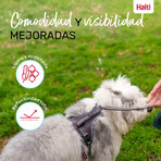 Șuncă pentru câini Company of Animals Gri L 42-65 cm Șuncă pentru câini Company of Animals Gri L 42-65 cm