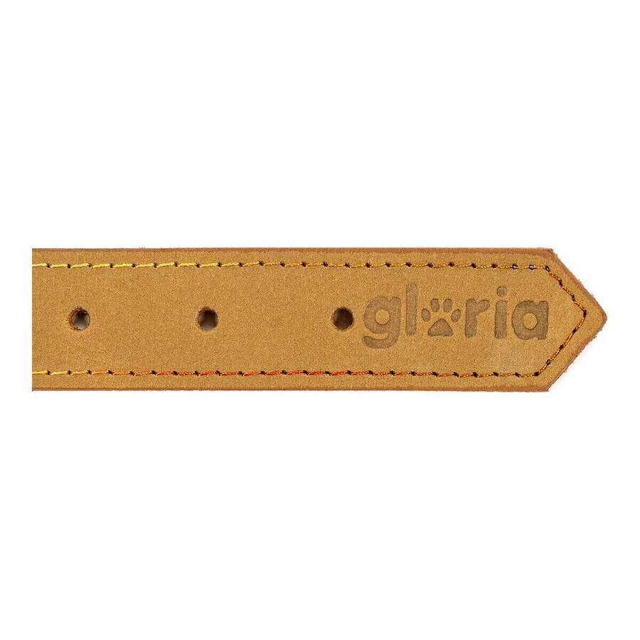 Dog collar Gloria Oasis Yellow (70 x 3 cm) Dog collar Gloria Oasis Yellow (70 x 3 cm)
