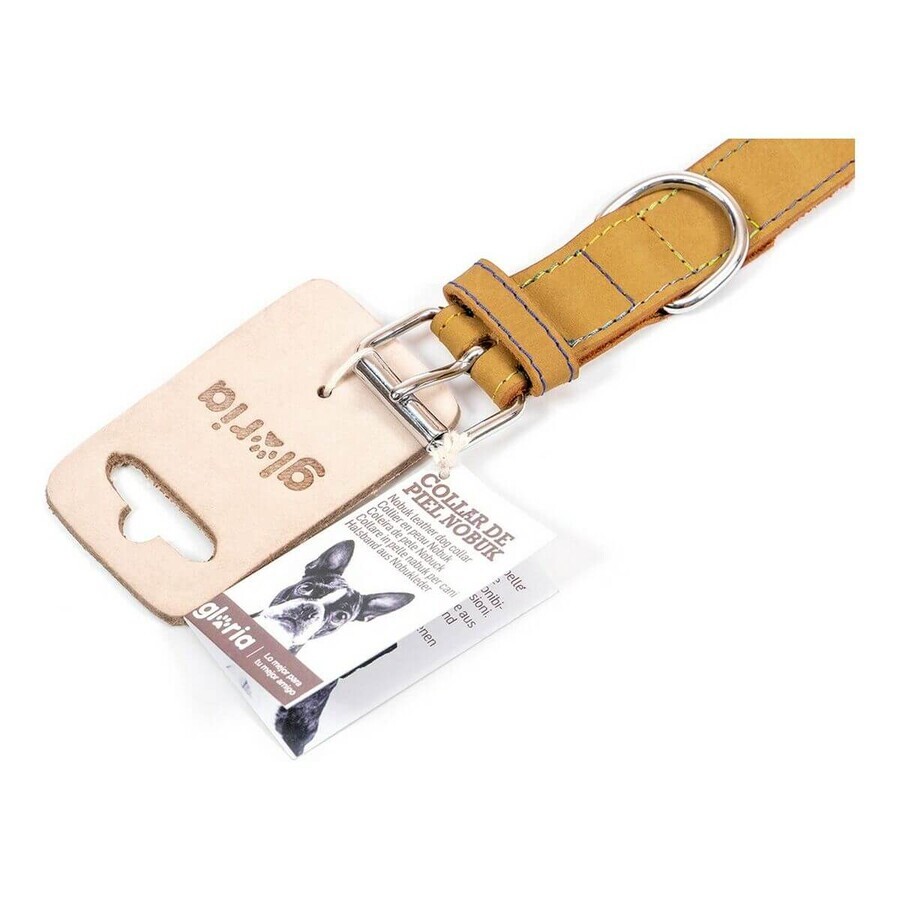 Dog collar Gloria Oasis Yellow (70 x 3 cm) Dog collar Gloria Oasis Yellow (70 x 3 cm)