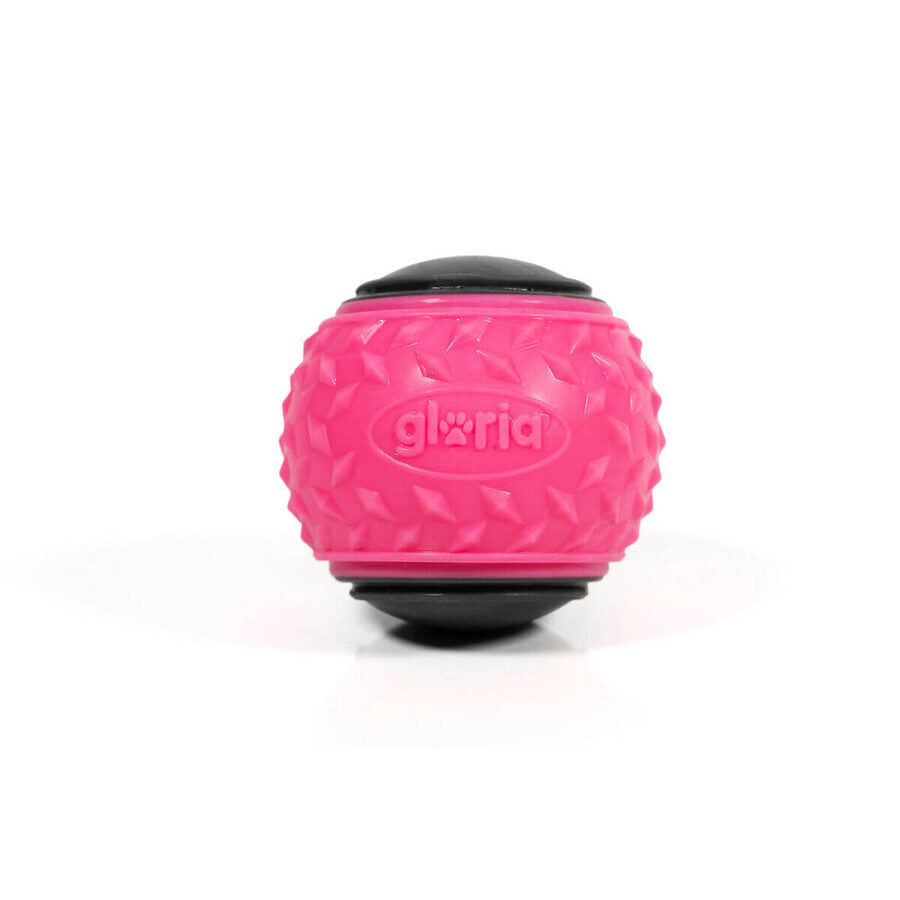 Minge pentru animale de companie Gloria PLAY AND RUN Roz TPR M 6,35 cm 2 Unități