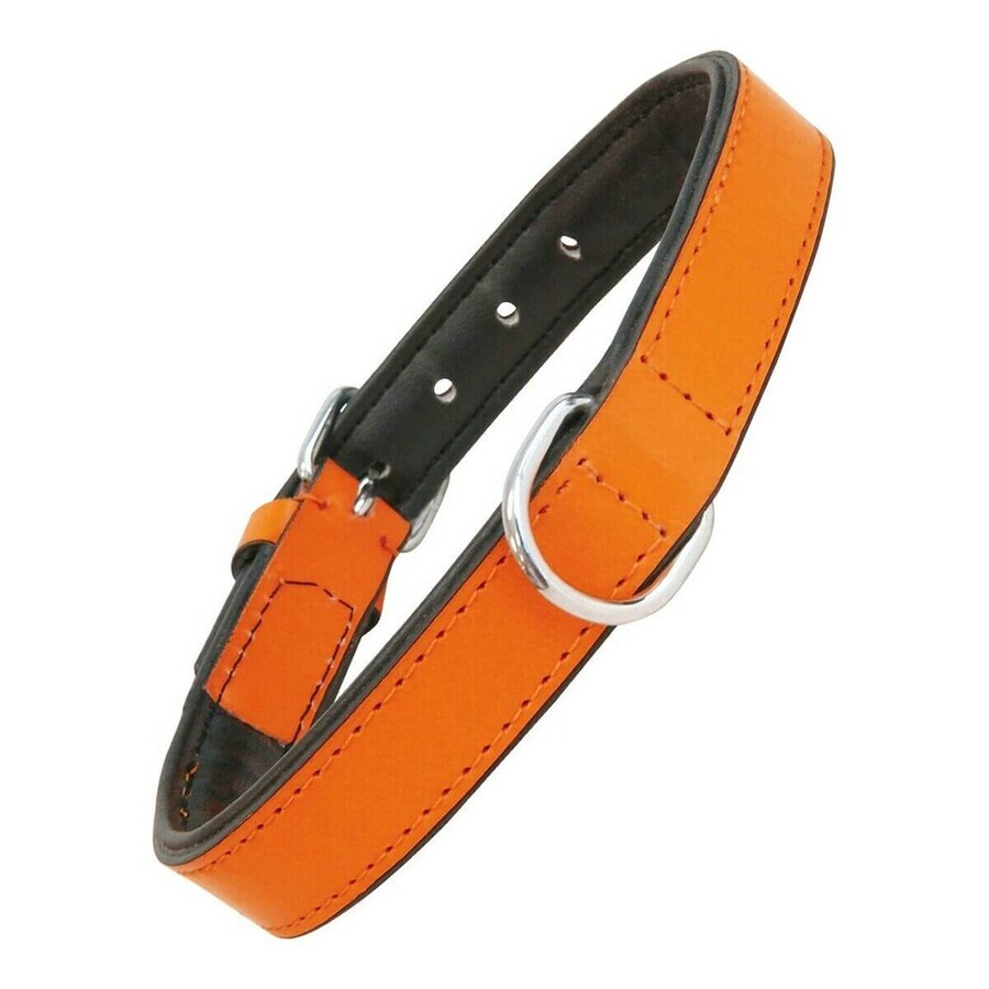 Buy Dog collar Gloria Padded Orange (40 x 2 cm) Dog collar Gloria Padded Orange (40 x 2 cm)