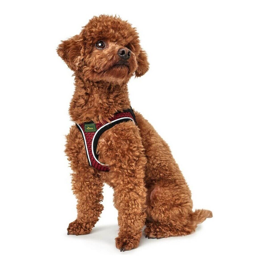 Hundegeschirr Hunter Hilo-Comfort Rot XS (35-37 cm) Hundegeschirr Hunter Hilo-Comfort Rot XS (35-37 cm)