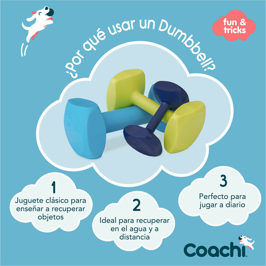 Hantel Coachi TRAINING DUMBBELL Blau L Kunststoff Hantel Coachi TRAINING DUMBBELL Blau L Kunststoff