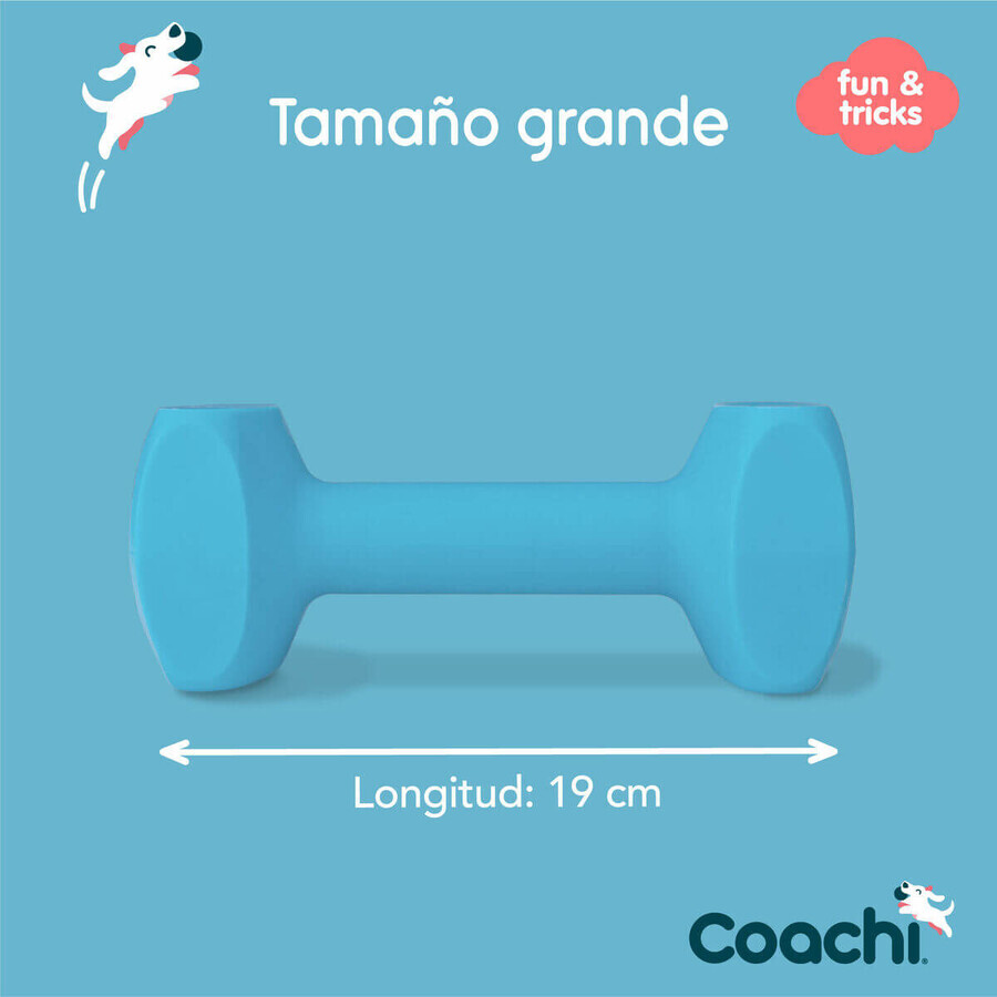 Hantel Coachi TRAINING DUMBBELL Blau L Kunststoff Hantel Coachi TRAINING DUMBBELL Blau L Kunststoff