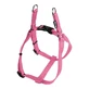 Jamón Ajustable Gloria Malla para Perro Gloria Malla Ajustable M 47-71 cm Rosa