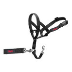 Dressurhalsband für Hunde Company of Animals Halti Schwarz Maulkorb (46-62 cm) Dressurhalsband für Hunde Company of Animals Halti Schwarz Maulkorb (46-62 cm)