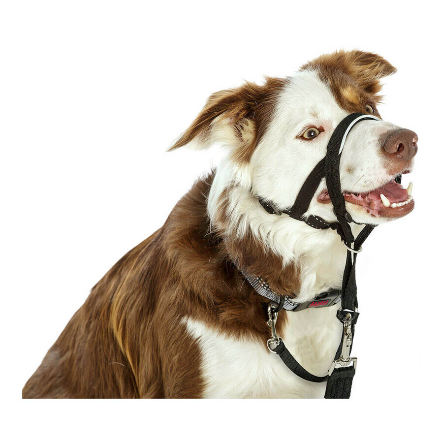 Dog Training Collars Company of Animals Halti Black Muzzle (35-48 cm) Dog Training Collars Company of Animals Halti Black Muzzle (35-48 cm)
