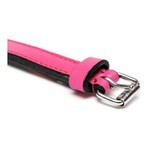 Zgardă pentru câini Gloria Căptușit Fucsia (30 x 1,5 cm)