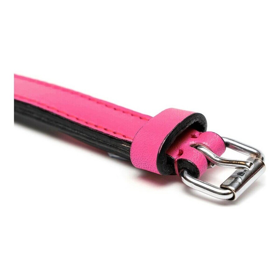 Zgardă pentru câini Gloria Căptușit Fucsia (30 x 1,5 cm)