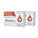 Megahyll pack, 30+30 capsules, Hyllan