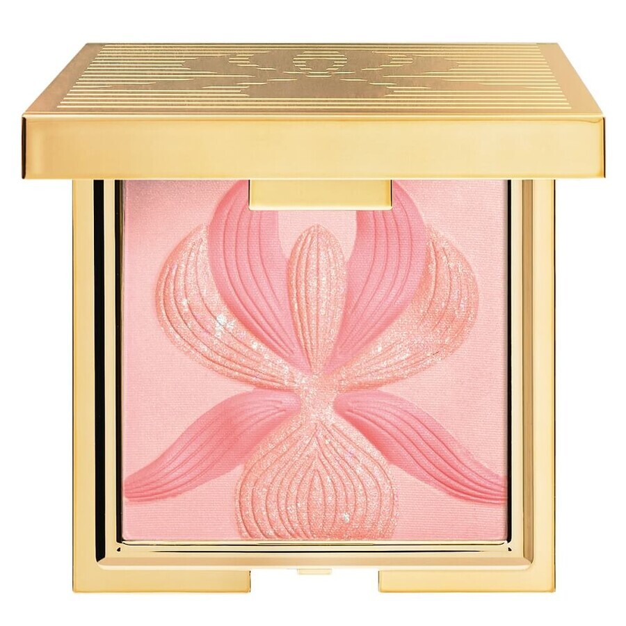 Acquista Sisley L orchidee Evidenziatore Blush Rose, 15 g Sisley L orchidee Evidenziatore Blush Rose, 15 g