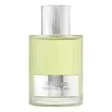 Tom Ford Beau de Jour Eau de Parfum, 100ml