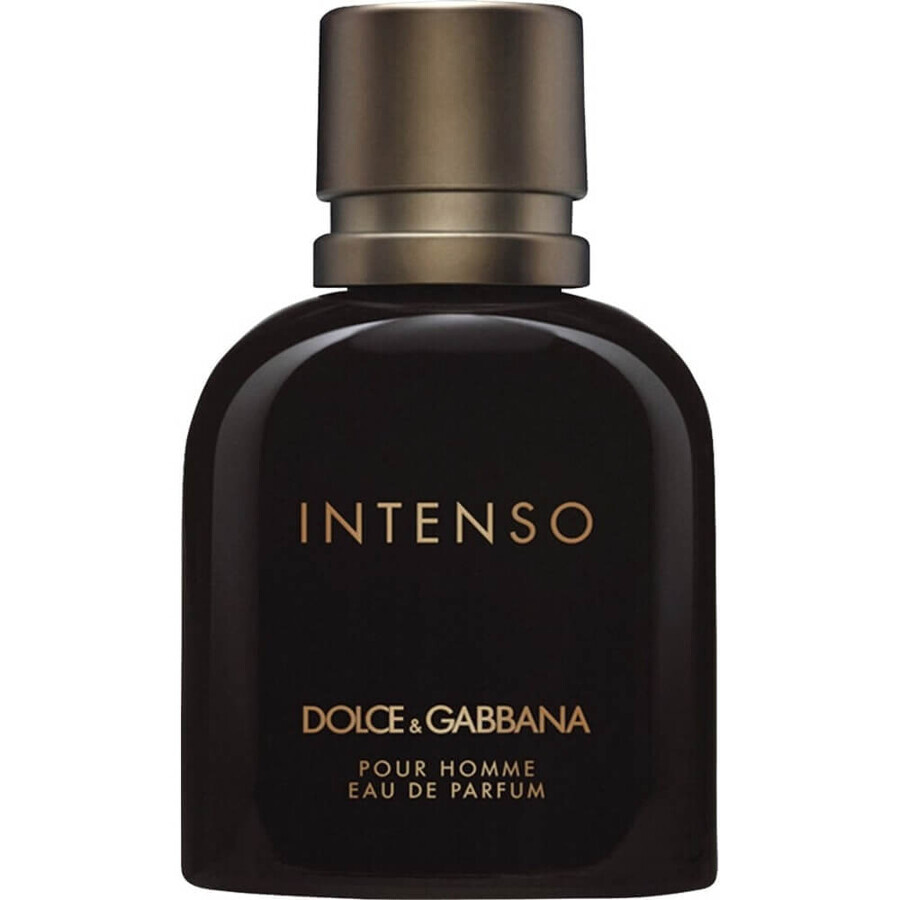 Dolce amp; Gabbana Intenso Pour Homme Eau de Parfum, 75 ml