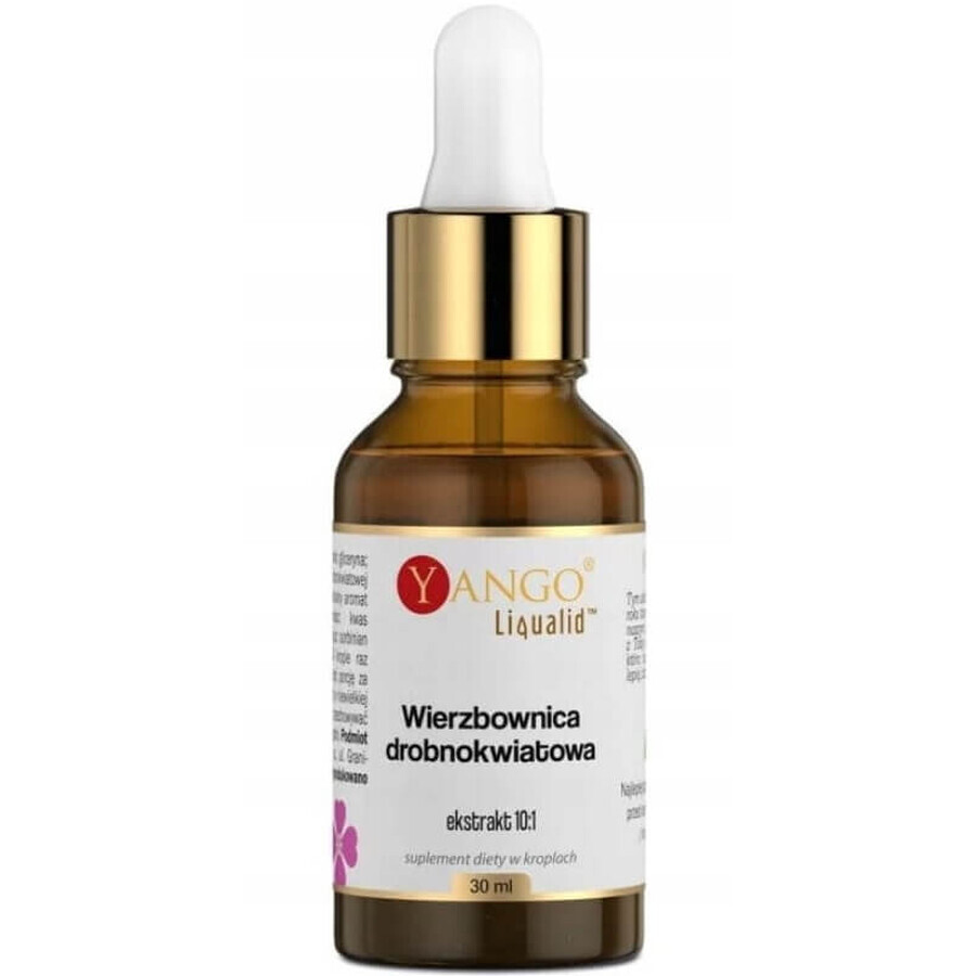 Buy Yango Small-flowered Willow extract 10:1, 30 ml Yango Small-flowered Willow extract 10:1, 30 ml