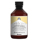 Davines Naturaltech Champú Purificante, 250 ml