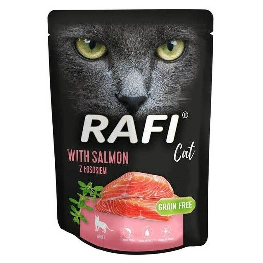 Buy Cat food Dolina Noteci RAFI CAT Salmon 300 g Cat food Dolina Noteci RAFI CAT Salmon 300 g