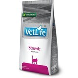 Mâncare pentru pisici Farmina STRUVITE FELINE Adult 2 Kg