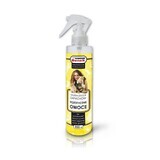 Geurverwijderaar Certech 16694 Anti-vlek 250 ml
