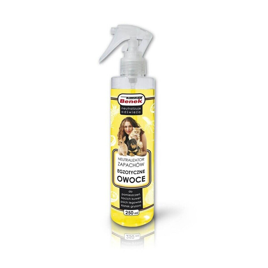 Buy Odour eliminator Certech 16694 Anti-stain 250 ml Odour eliminator Certech 16694 Anti-stain 250 ml