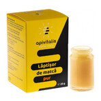Pappa reale pura, 25 g, Api Vitalis Pappa reale pura, 25 g, Api Vitalis