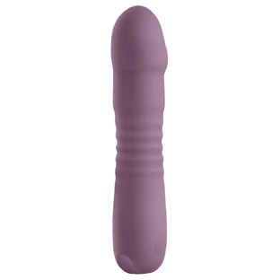 Vibrateur anal NS Novelties Lust-n-Dreams Violet