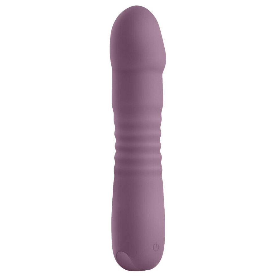 Anal Vibrator NS Novelties Lust-n-Dreams Purple