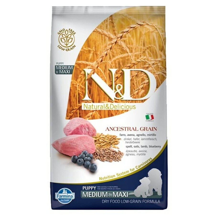 Winkel op Voer Farmina Grain Puppy Medium&Maxi Lamb Lam 12 kg Voer Farmina Grain Puppy Medium&Maxi Lamb Lam 12 kg