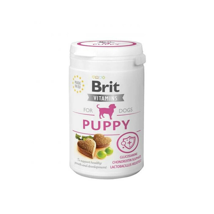 Shop Nahrungsergänzungsmittel Brit Puppy 150 g Nahrungsergänzungsmittel Brit Puppy 150 g