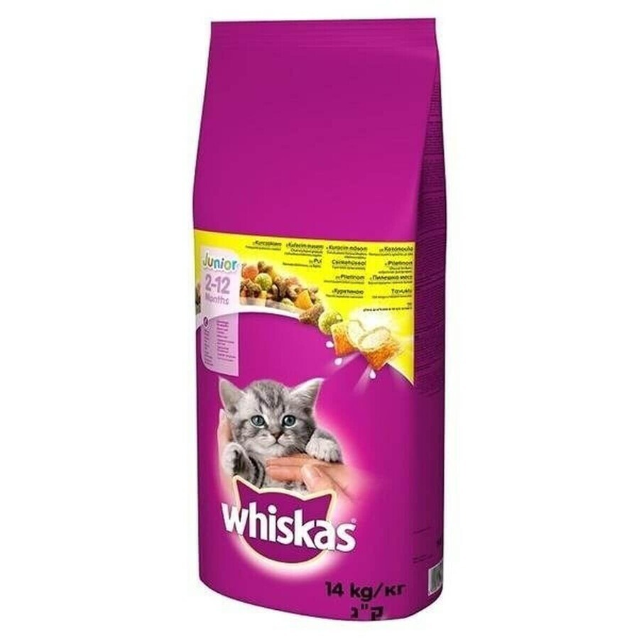 Buy Cat food Whiskas Junior Chicken 14 Kg Cat food Whiskas Junior Chicken 14 Kg