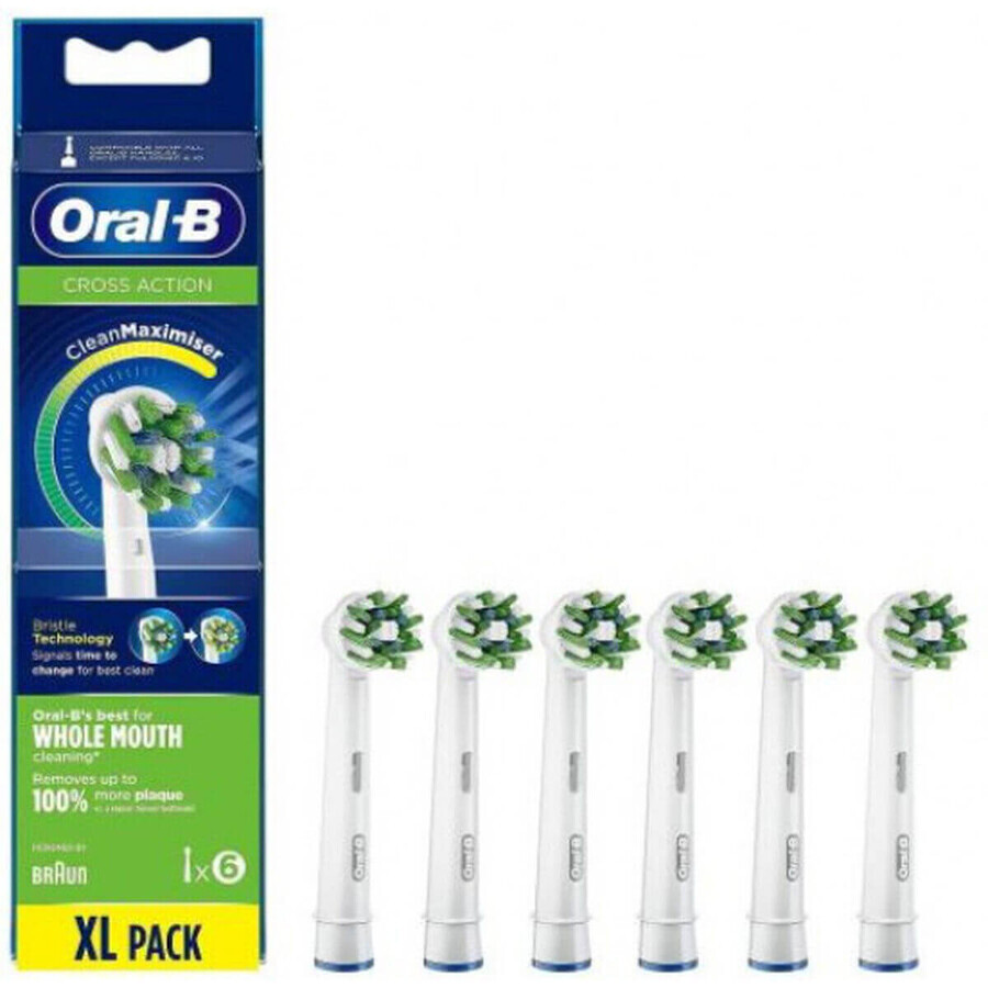 Cumpără Schimb pentru Perie de Dinți Electrică Oral-B EB50 Schimb pentru Perie de Dinți Electrică Oral-B EB50