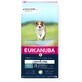 Nourriture Eukanuba Grain Free Adult Agneau 12 kg