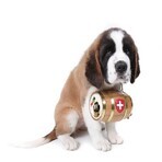 Wachs Pawz MAXWAX 60 g Wachs Pawz MAXWAX 60 g