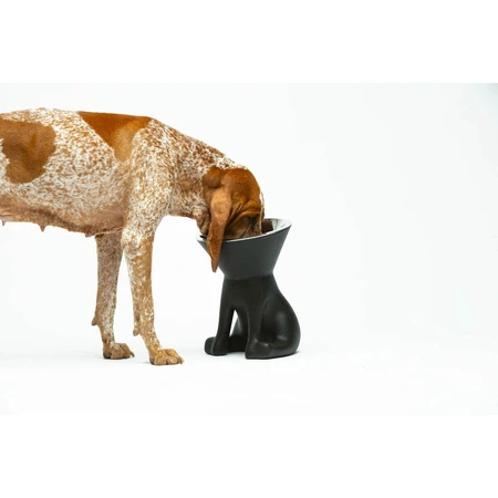 Voerbak voor honden United Pets Up Elisabeth Zwart Roestvrij staal Polyethyleen 1 L