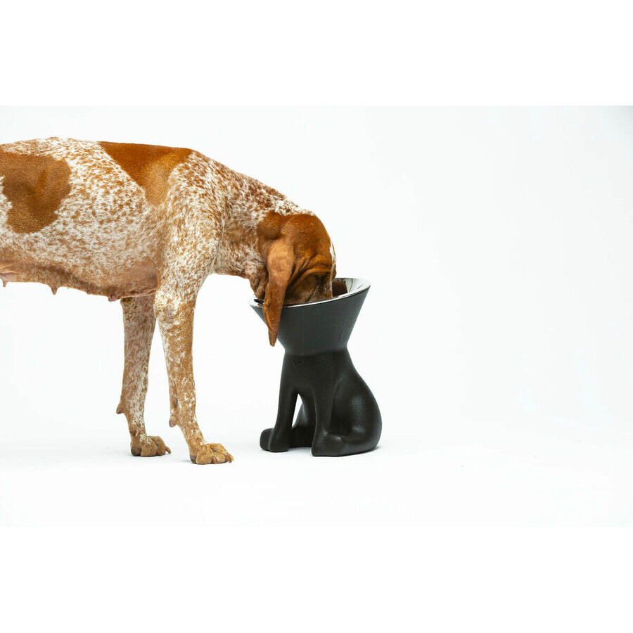 Mangeoire pour chiens United Pets Up Elisabeth Noir Acier inoxydable Polyéthylène 1 L Mangeoire pour chiens United Pets Up Elisabeth Noir Acier inoxydable Polyéthylène 1 L