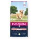 Nourriture Eukanuba Senior Large&amp;Giant Lamb with rice Agneau 12 kg
