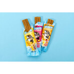 Ice cream Snackys Hamburgers Tortillas 24 Units