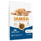 M&#226;ncare pentru pisici IAMS Advanced Nutrition Cat Adult Pește 10 kg