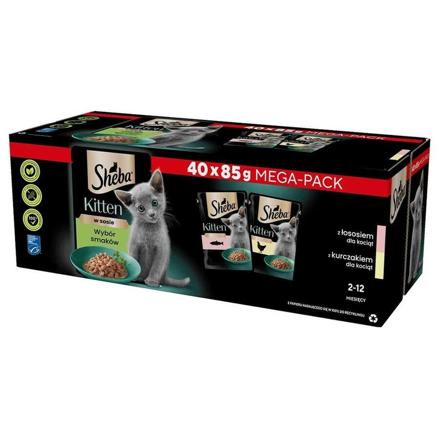 Mâncare pentru pisici Sheba Kitten Pui